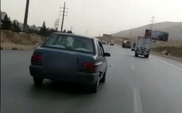 حمل گوساله با پراید! + فیلم 