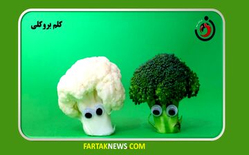 بروکلی میل جنسی را افزایش می دهد
