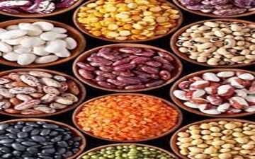 قیمت حبوبات به زودی نزولی می‌شود
