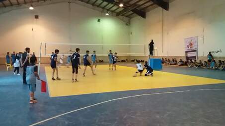 photo (8)