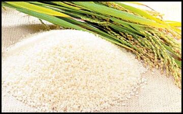 قیمت برنج ایرانی به ۱۷ هزار تومان رسید!/ دستمال کاغذی، نوشابه و دلستر بی سر و صدا گران شد
