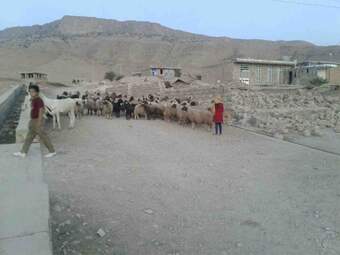 photo_1 (21)