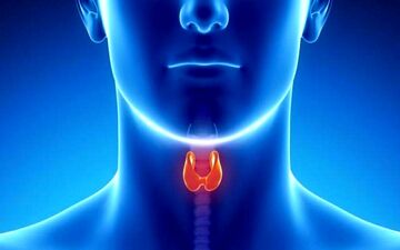 نشانه هایی که زنگ خطر ابتلا به بیماری های تیروئیدی هستند