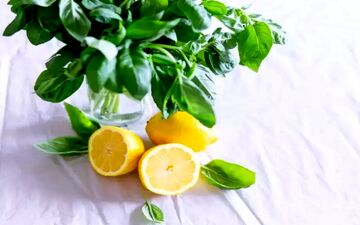 ترفندهای عالی برای تازه نگهداشتن لیمو در خانه