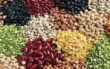 حبوبات چراغ خاموش گران شد 