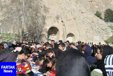 جشن تولد کهنسال‌ترین درخت شهر کرمانشاه به روایت تصویر