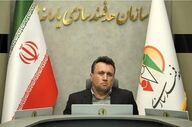 آغاز واریز ۱۱۰ همت به گندم‌کاران تا ۲۵ مردادماه