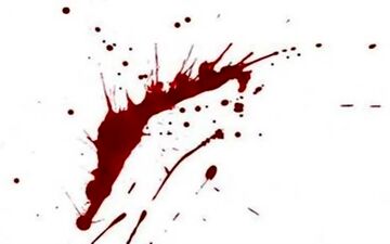 شلیک مرگبار برادر؛ پایان سناریوی دروغین قتل زن جوان