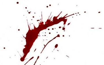 شلیک مرگبار برادر؛ پایان سناریوی دروغین قتل زن جوان