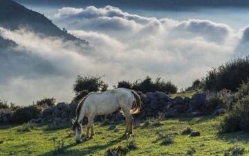 معرفی روستای فیلبند روستایی رویایی در چند قدمی تهران برای یک سفر کوتاه
