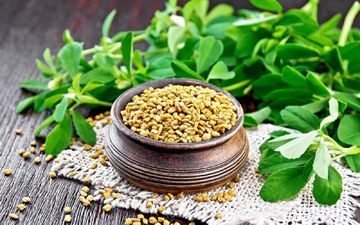 دمنوش این گیاه خوش‌عطر مو را تقویت و التهاب و چربی خون را پایین می‌آورد