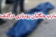 ضارب جنگلبان رودباری بر اثر برق‌گرفتگی جان باخت