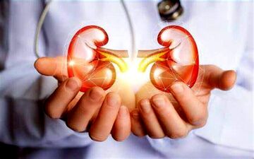 نکاتی برای حفظ سلامت کلیه در طول زندگی
