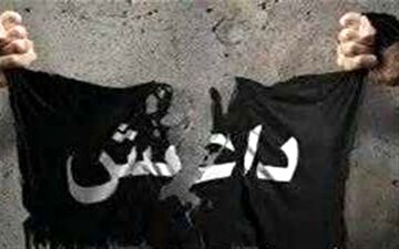 داعش ۹۸ درصد از سرزمین‌های تحت کنترل خود در عراق و سوریه را از دست داد 
