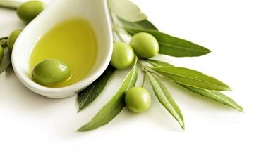کاهش کلسترول و تقویت سیستم ایمنی و کمک به سلامت پوست با برگ درخت زیتون