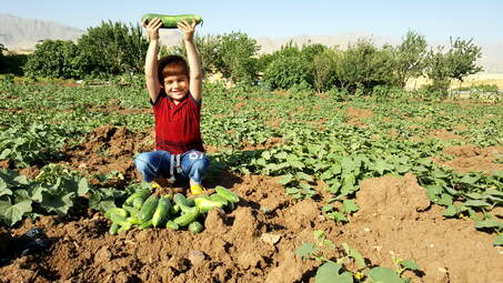 اقامتگاه بوم‌گردی «سابات» در روستای زیبای(شکوفه‌های بادم) کانی‌کُچکینه 