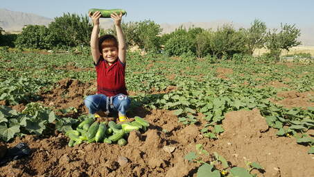 اقامتگاه بوم‌گردی «سابات» در روستای زیبای(شکوفه‌های بادم) کانی‌کُچکینه 