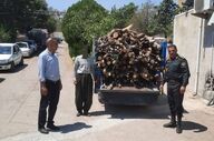کشف و توقیف ۱۲۵۰ کیلوگرم چوب جنگلی قاچاق در ثالث باباجانی