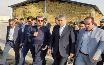 ‍  

 کرمانشاه یکی از قطب های کشاورزی در کشور است/دغدغه‌ای برای تامین کالاهای اساسی مردم نداریم


