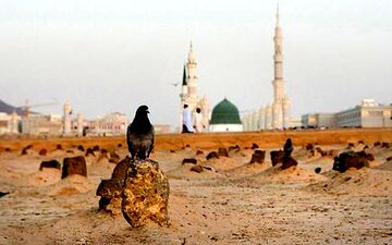 زیارت بقیع در آخرین روز حضور حجاج ایرانی در مدینه +فیلم 