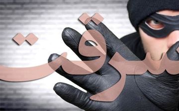 راننده اسنپ، طعمه سارقان زورگیر شد