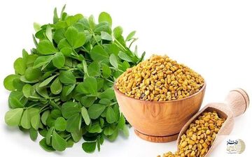 این گیاه معجزه ای برای دیابتی ها
