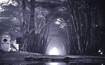 ۳۰+ مکان های ترسناک ایران | تجربه‌ای که هیچوقت فراموش نخواهید کرد