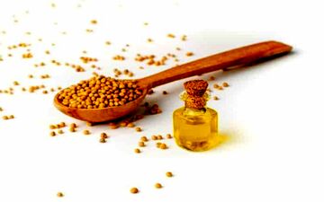  روغن این دانه، گنجینه‌ای از خواص برای سلامتی و زیبایی