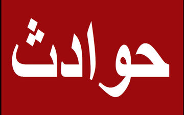 سرقت میلیاردی مینا 20 ساله از تاجر پیر در تهران + عکس 