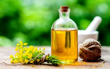فواید روغن کانولا برای سلامت