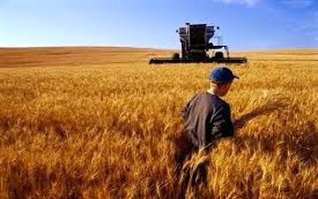 مانعی برای صادرات محصولات کشاورزی