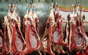 قیمت گوشت گوسفندی ۴۰۰ هزار تومان را رد کرد / راسته گوساله کیلویی چند؟ 