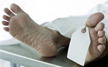 جزئیات جدید از قتل پسر جوان با سم‌ مار | چرا عمو دستور قتل برادرزاده‌اش را صادر کرد؟ + فیلم
