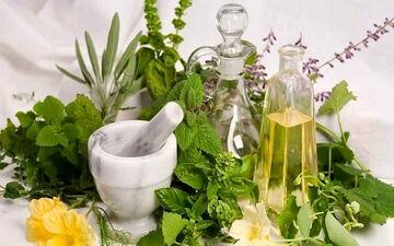 اگر می خواهید سرماخوردگی نگیرید این گیاه را مصرف کنید