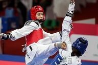 سرپرست فدراسیون تکواندو منصوب شد