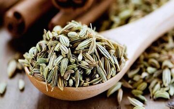 معجزه رازیانه در دوران شیردهی؛ حقیقت علمی یا ادعای بی‌اساس؟