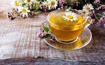 آشنایی با گیاه معجزه گر بابونه