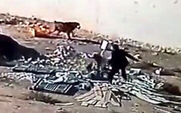 سگی که صاحبش را از چنگال سگ ولگرد نجات داد + فیلم 