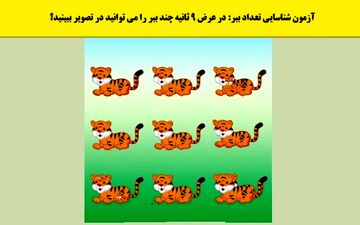 5 ثانیه وقت داری تعداد ببرهای تصویر رو شناسایی کنی! + پاسخ