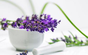 با این گیاهان هورمون‌های خود را تنظیم کنید