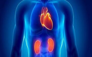 با این راهکار بیماری قلبی را دور بزنید 