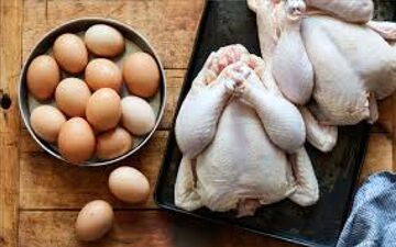 قیمت مرغ و تخم‌مرغ امروز ۱۴ خرداد ۱۴۰۵؛ بازار در انتظار ثبات