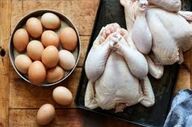 قیمت مرغ و تخم‌مرغ امروز ۱۴ خرداد ۱۴۰۵؛ بازار در انتظار ثبات