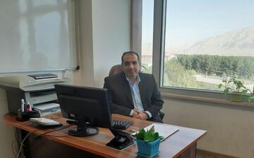 صادرات گوجه فرنگی استان از مرز صدهزار تن گذشت