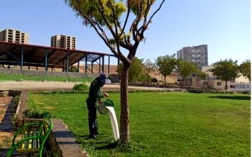 
آغاز عملیات مبارزه با بیماری فوزاریوم درختان اقاقیا در شهر کرمانشاه برای دومین سال پیاپی