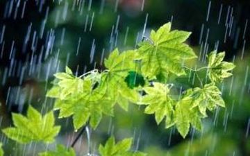 
جمعه 22 شهریور/پیش بینی بارش پراکنده در مازندران
