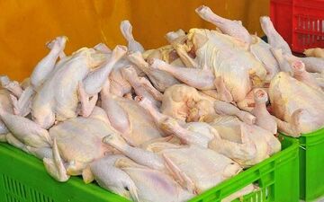  قیمت نهایی مرغ برای مصرف کننده در کرمان خارج از عرف است