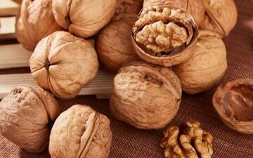 گردو میان‌وعده‌ای کوچک با نتایج بزرگ برای سلامتی قلب