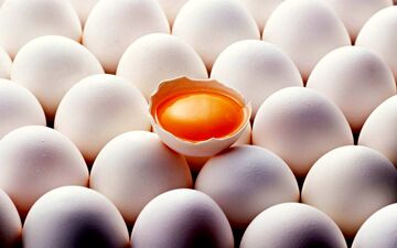 تغییرات قیمت تخم مرغ 