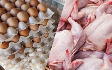 همکاری ایران و عمان در زمینه فرآورده‌های پروتئینی